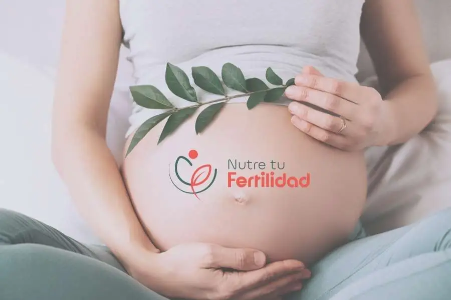 Mujer embarazada con el logotipo de Nutre tu Fertilidad sobre el vientre