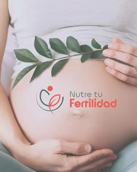 Mujer embarazada con el logotipo de Nutre tu Fertilidad sobre el vientre
