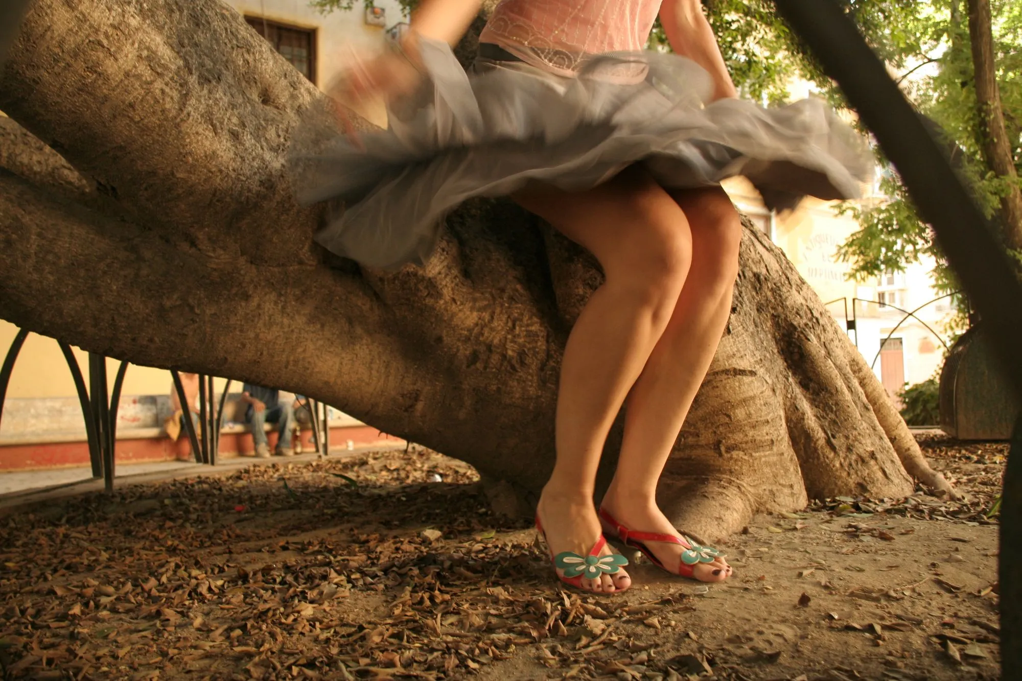 Falda de tul gris al vuelo y sandalias con flores junto al tronco de un gran ficus