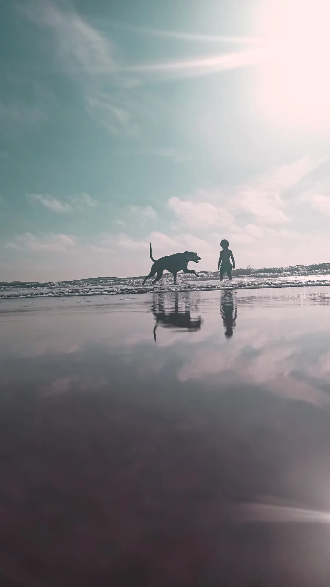 Niño y perro jugando en la orilla, reflejados en la arena mojada bajo un cielo turquesa