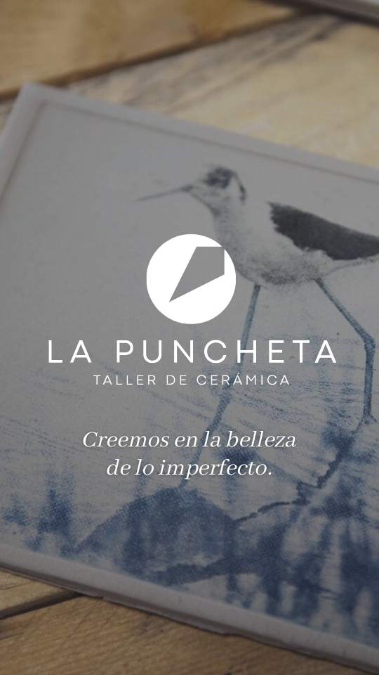 La Puncheta rebranding y web